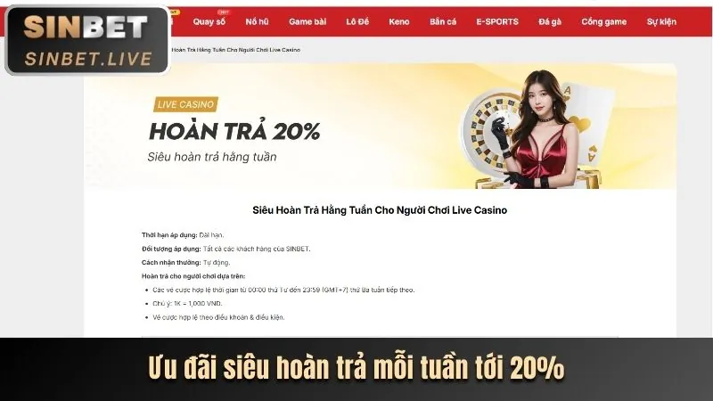 Dịch vụ hỗ trợ khách hàng chuyên nghiệp tại BJ88 Live